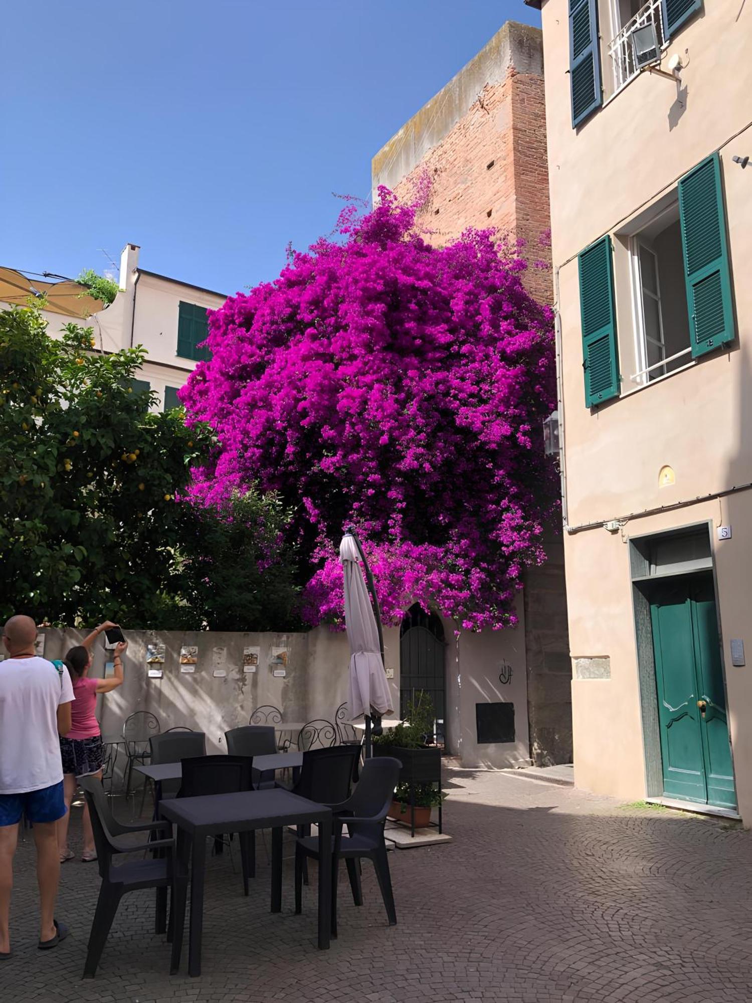 Wonderful Noli - Appartamento Noli Liguria Italia المظهر الخارجي الصورة